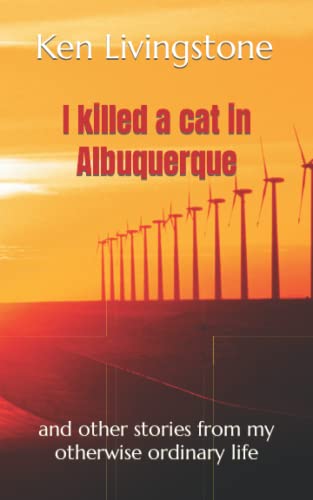 I killed a cat in Albuquerque: and other stories from my otherwise ordinary life