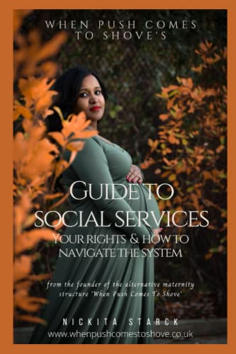 When Push Comes To Shove's Guide To Social Services: Your rights and how to navigate the system