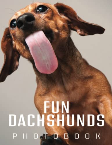 Picture Book Of Fun Dachshunds: A Great Gift With Impressive And Attractive Illustrations Of The Most Variety Beautiful Significant Poster For Fun Dachshunds Lovers On Any Special Occasion