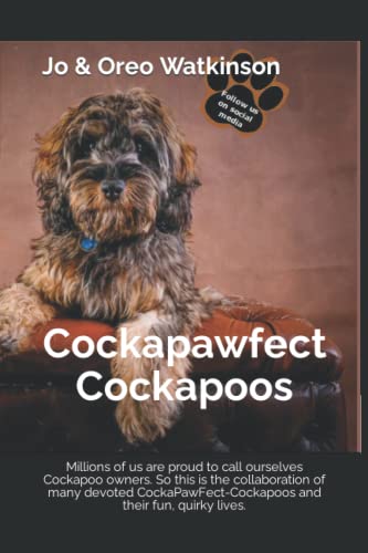 Cockapawfect Cockapoos: Millions of us are proud to call ourselves Cockapoo owners. So this is the collaboration of many devoted CockaPawFect-Cockapoos and their fun, quirky lives.