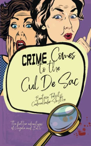 Crime Comes to the Cul de Sac