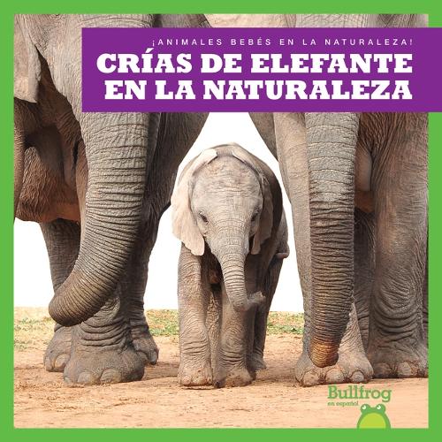 Crias de Elefante En La Naturaleza (Elephant Calves in the Wild)