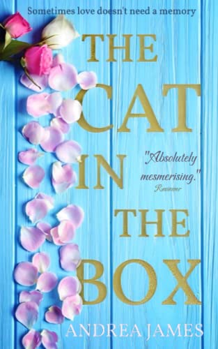 The Cat In The Box (Little Boxes Big Secrets)