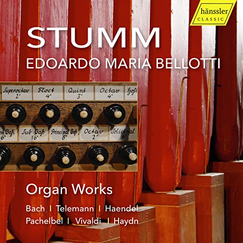 Stumm Organ