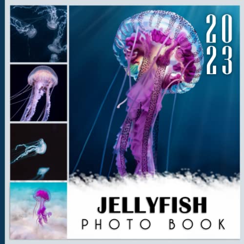 Photo Book Of Jellyfish: Jellyfish Picture Book For Photos With 30+ Pictures Photos, 2023 Photobook Photography Christmas Gifts For Men Women Mom Dad