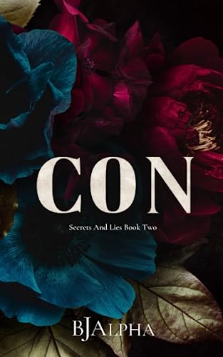 CON Discreet Cover: Secrets and Lies Discreet Cover Book 2 (SECRETS AND LIES DISCREET COVERS)