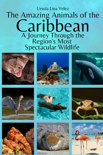 The Amazing Animals of the Caribbean: A Journey Through the Region's Most Spectacular Wildlife