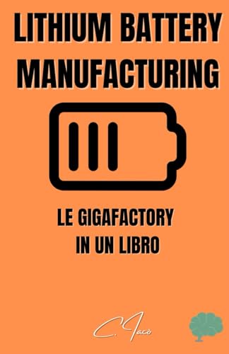Lithium Battery Manufacturing