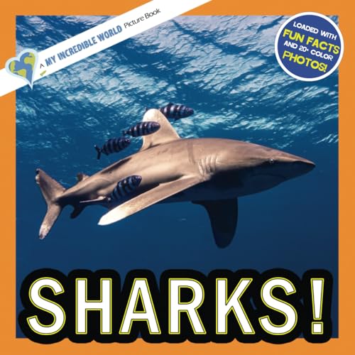 Sharks!: A My Incredible World Picture Book for Children (My Incredible World: Nature and Animal Picture Books for Children)