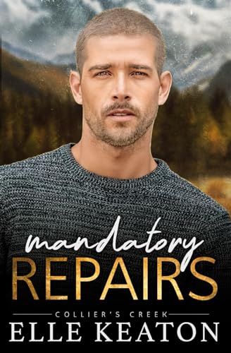 Mandatory Repairs: Small Town MM Romance