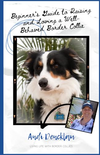Beginner's Guide to Raising and Loving a Well-Behaved Border Collie