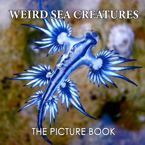 Picture Book Weird Sea Creatures : Colorful Pages for All Ages Relaxation and Stress Relief Ideal Gift for Birthday (25 Premium Pictures with Names and Facts)