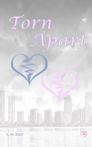 Torn Apart (Love Novel Series)