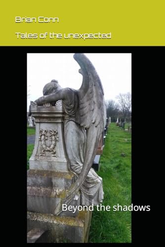Beyond the Shadows: Tales that defy Explanation