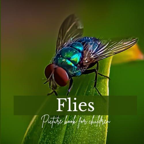 Flies: Picture book for children