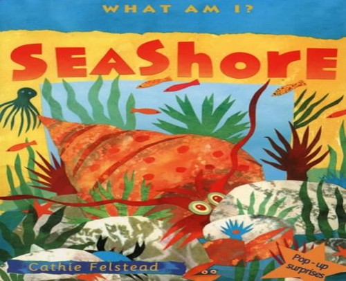 Seashore