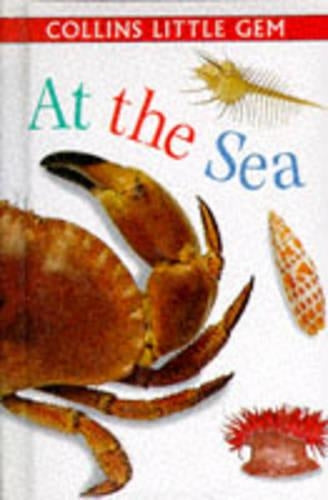 At the Sea