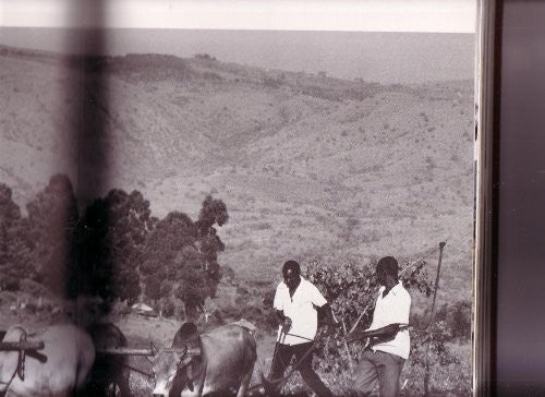 The Book of Kenya