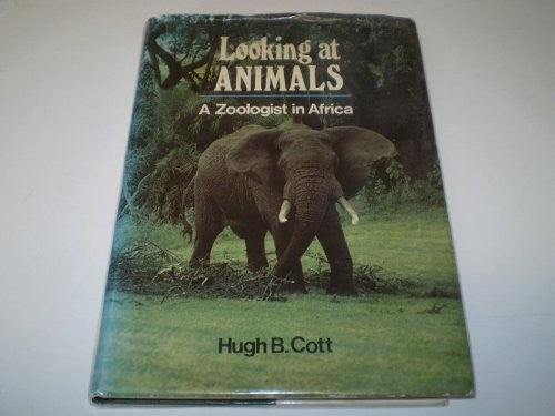 Looking at Animals