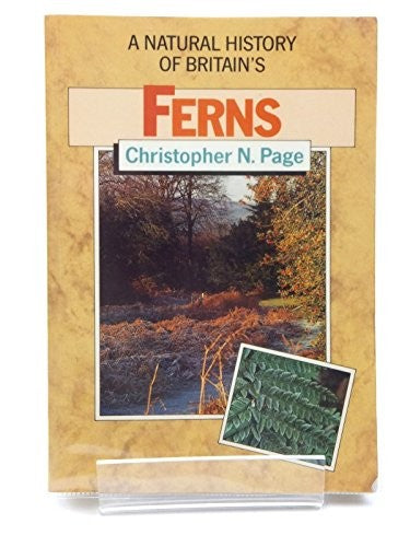 Ferns