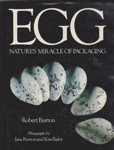 Egg