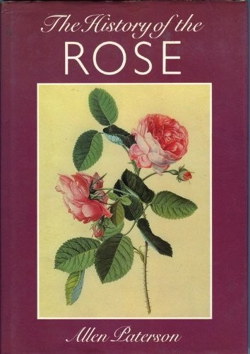 History of the Rose