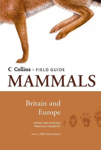 Mammals of Britain and Europe