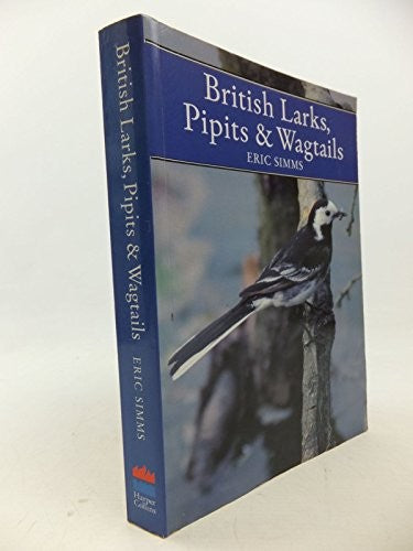 Larks, Pipits and Wagtails