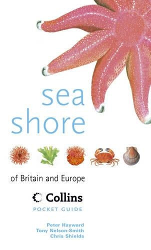 Sea Shore of Britain and Europe