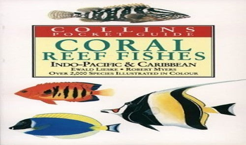 Coral Reef Fishes