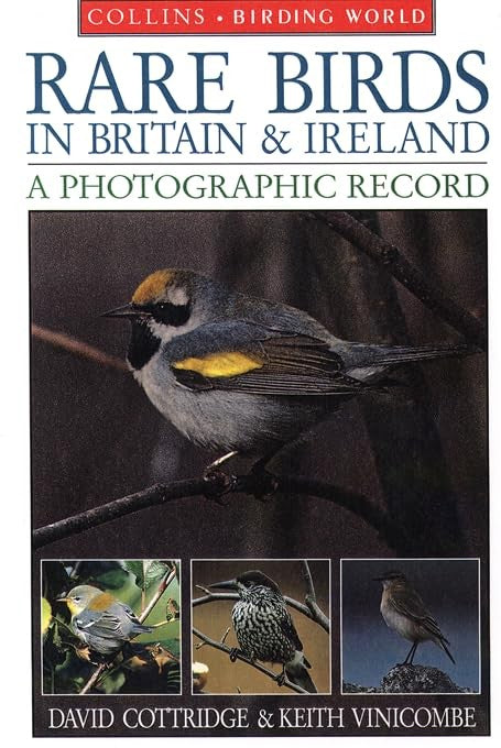 Rare Birds in Britain and Ireland