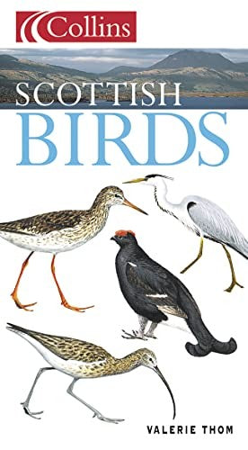 Scottish Birds
