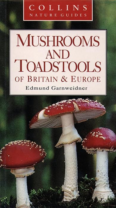 Mushrooms and Toadstools