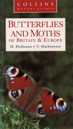 Butterflies and Moths
