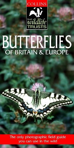 Butterflies of Britain and Europe