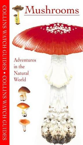 Mushrooms and Toadstools