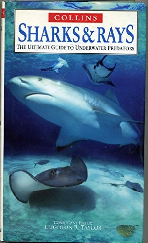 Sharks and Rays