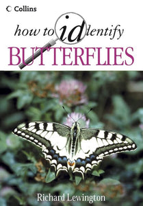 How to Identify Butterflies 