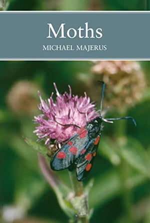 Moths