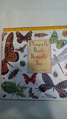 Dragonfly Beetle, Butterfly Bee