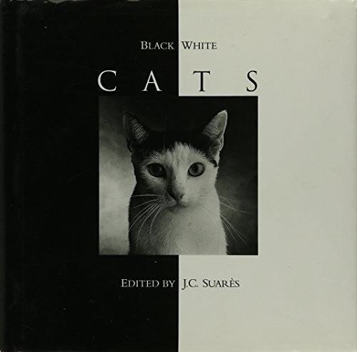 Black & White Cats