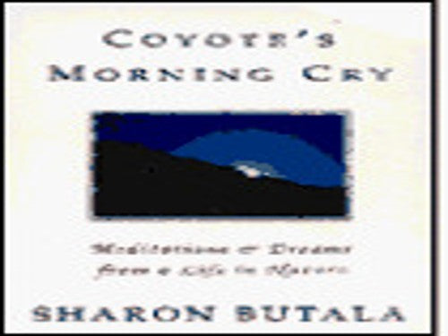 Coyotes Morning Cry