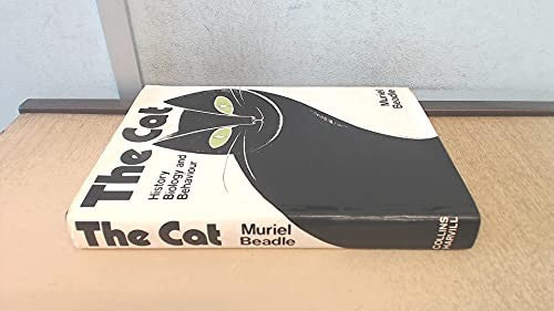 The Cat