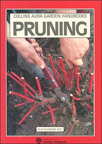 Pruning