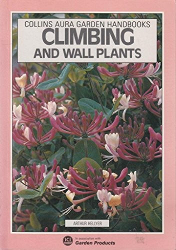 Climbing and Wall Plants