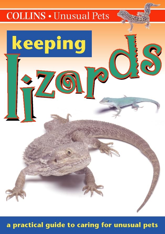 Lizards