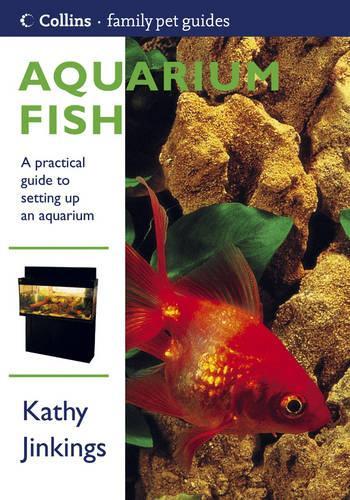 Aquarium Fish