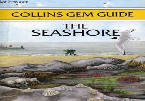 Seashore
