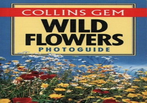 Wildflowers
