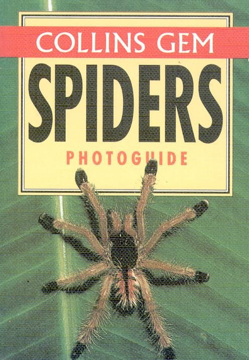 Collins Gem Spiders Photoguide